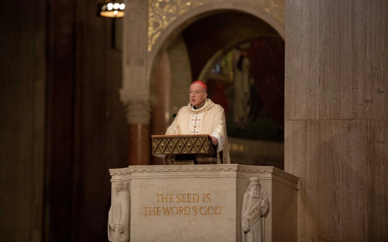 El Cardenal McElroy pide solidaridad con los inmigrantes indocumentados en Estados Unidos