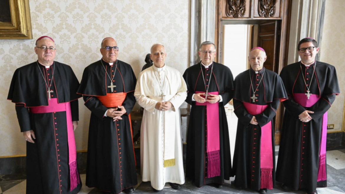 Obispo chileno: El Papa León XIV nos ha pedido defender la vida ante avance del aborto y la eutanasia