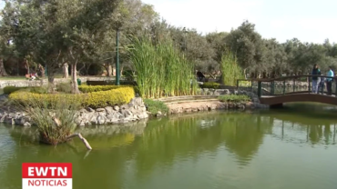 El bosque que plantó San Martín de Porres: Un oasis en medio del caos de Lima