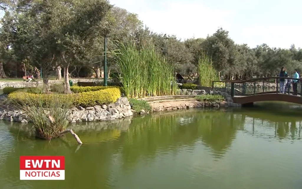 El bosque que plantó San Martín de Porres: Un oasis en medio del caos de Lima